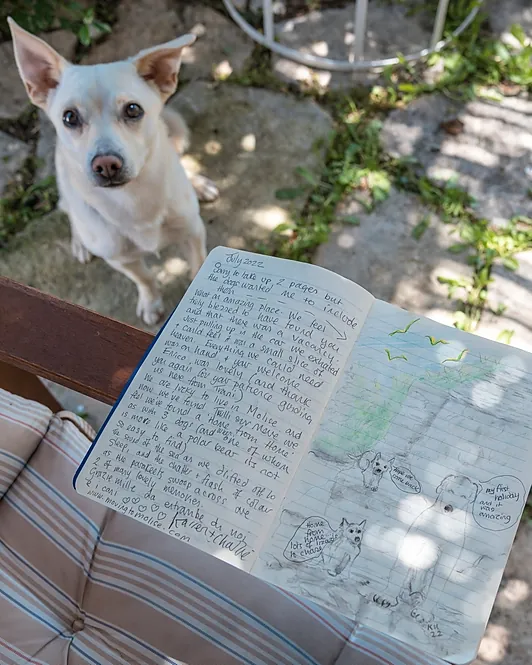 Un quaderno aperto, scritto e disegnato a mano, appoggiato su un cuscino a righe; davanti, un cane bianco guarda verso l’obiettivo.