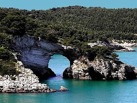 Un arco di roccia bianca sul mare verde-azzurro, con la pineta alle spalle.
